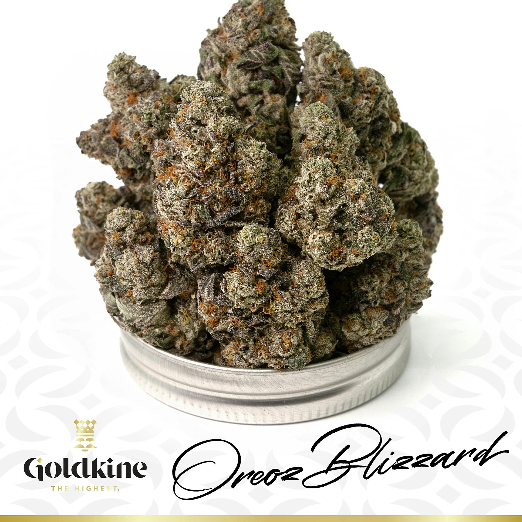 Goldkine Flower "Bigs" | Oreo Blizzard