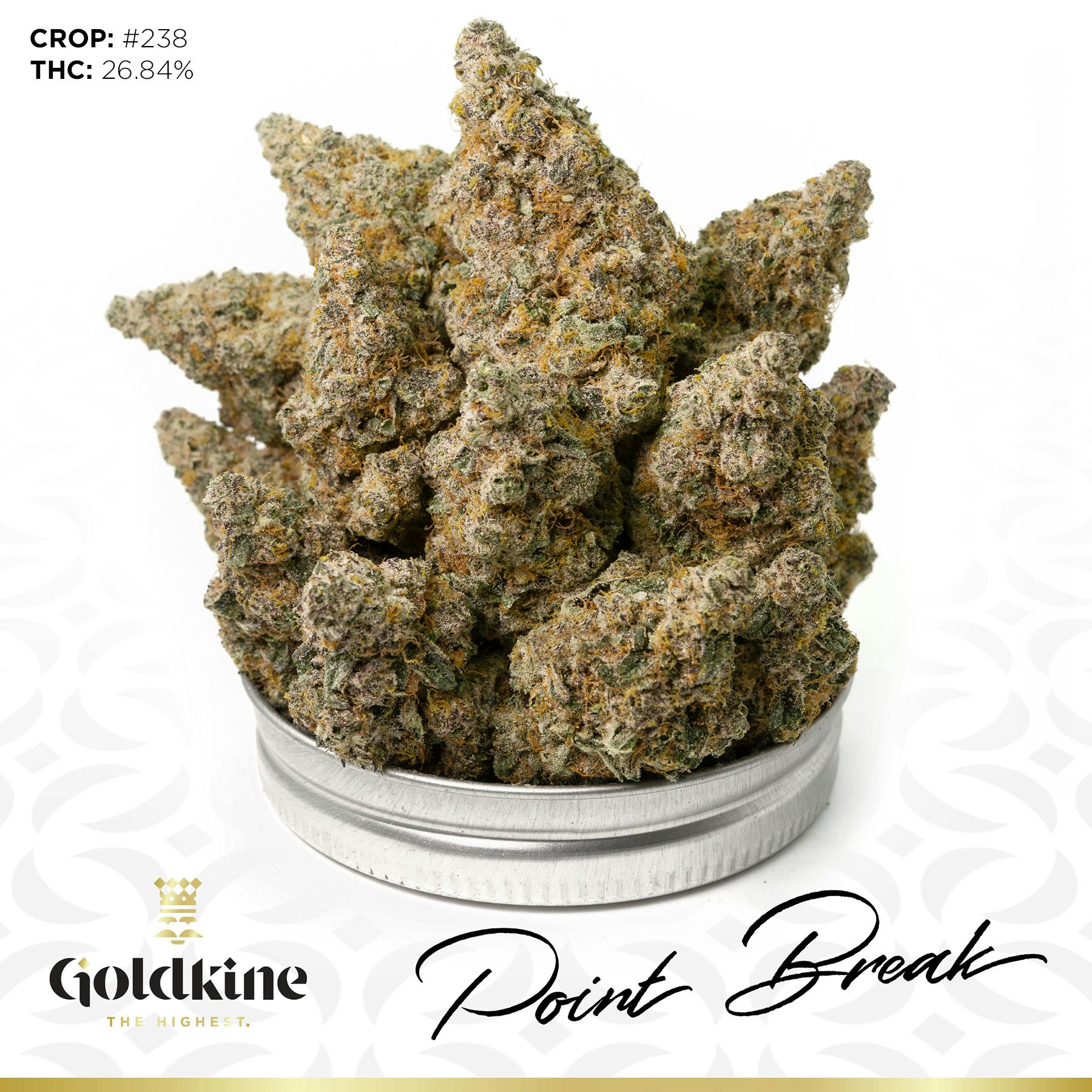 Goldkine Flower "Bigs" | Point Break by Goldkine
