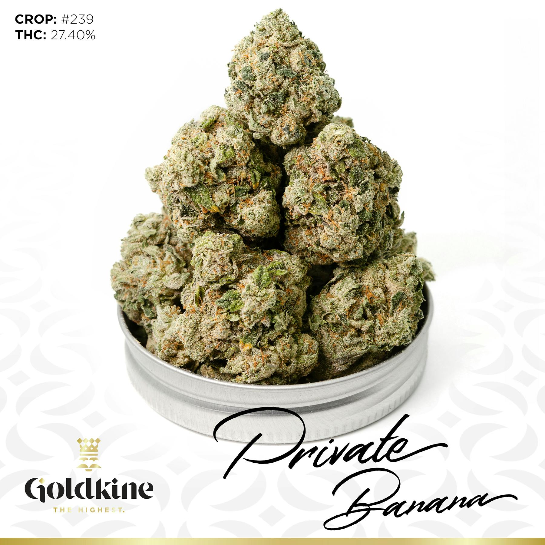 Goldkine Flower "Bigs" | Private Banana by Goldkine