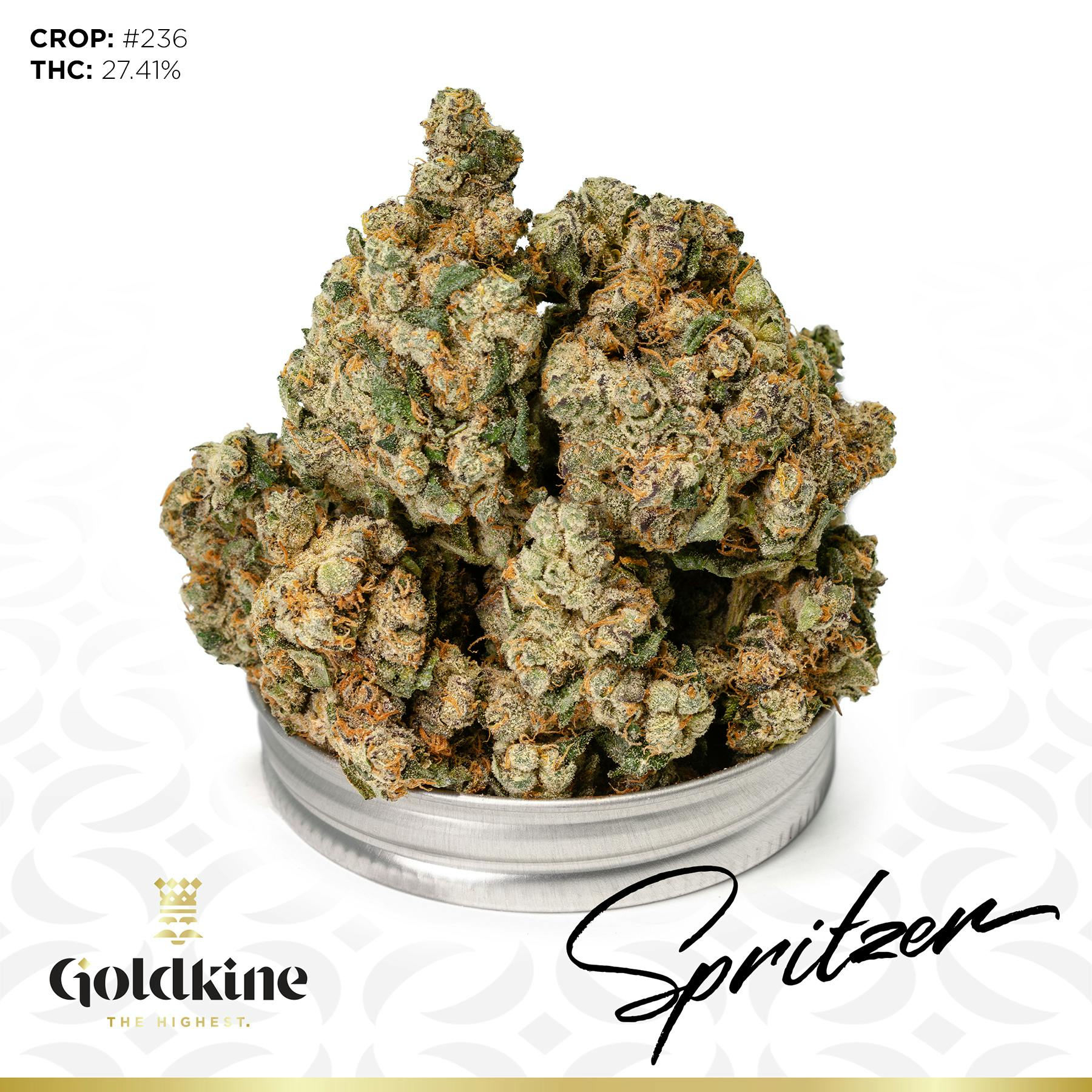 Goldkine Flower "Bigs" | Spritzer by Goldkine