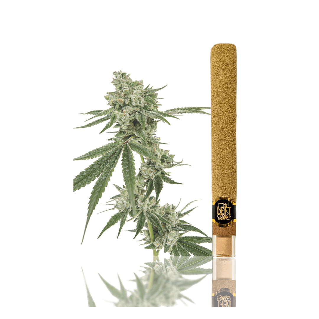 2G - Maui Waui Infused Blunt Roll by LEFT COAST