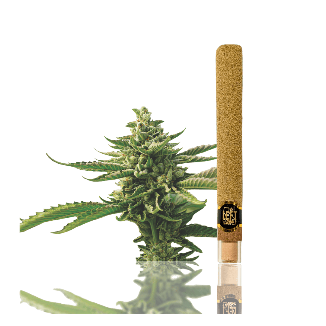 2G - Strawberry Banana Infused Blunt Roll at Luxus Botanica