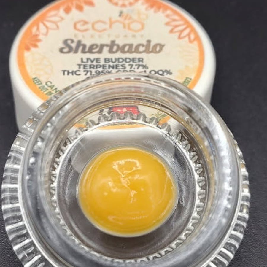 Echo Electuary: Sherbacio Live Budder