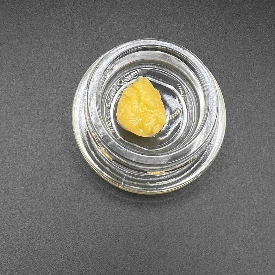 Echo Electuary: Plushers Live Budder
