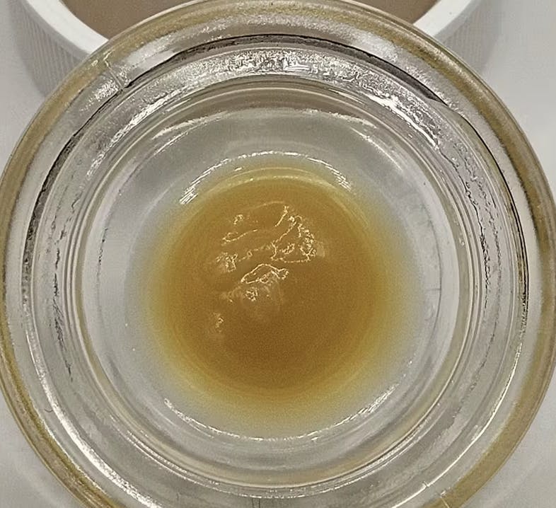 Echo Electuary: Crescendo Live Budder