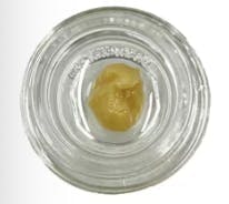 Echo Electuary: NIche Live Rosin 1g
