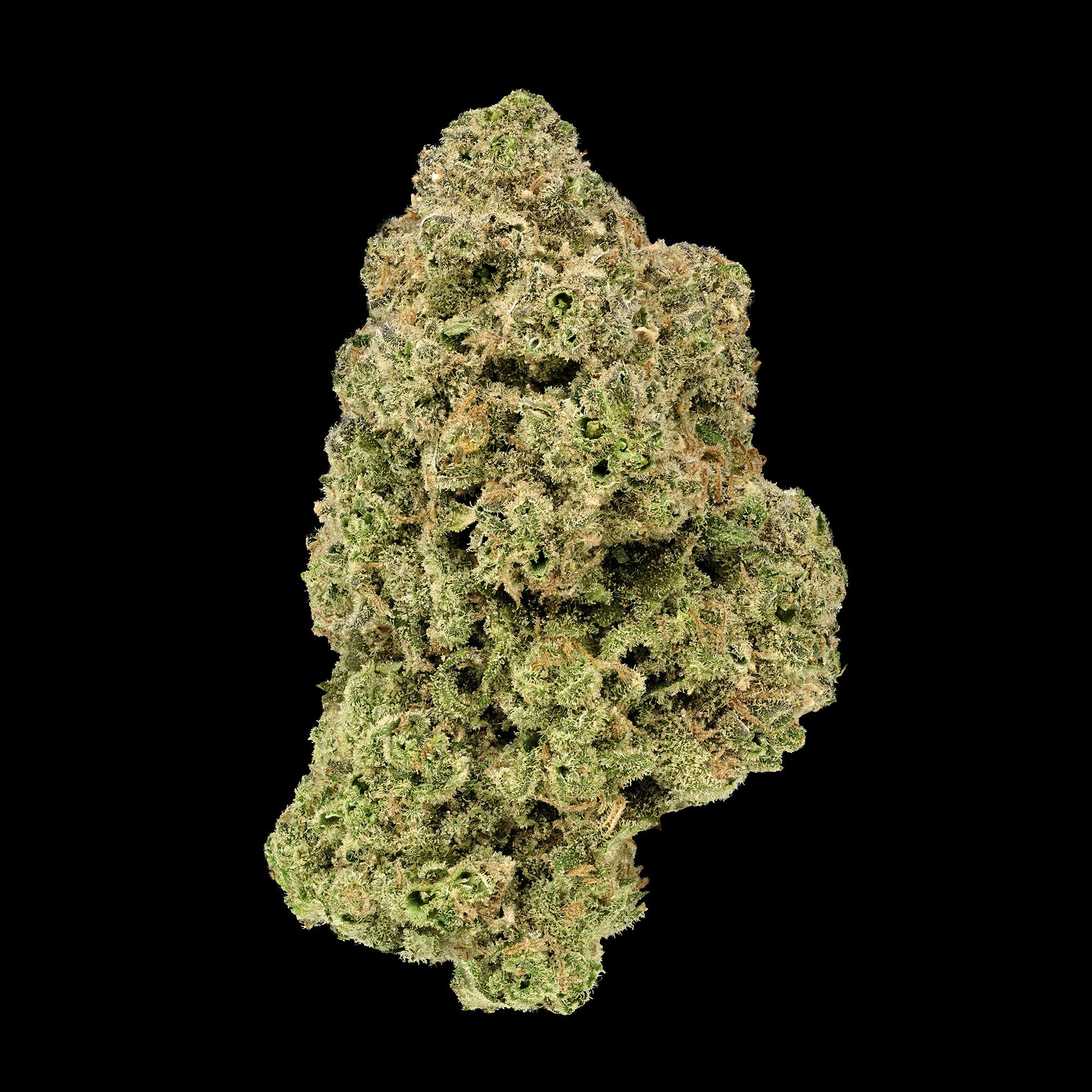 Jack Herer | Big Buds by Grown Rogue