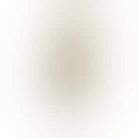 Lemon Drop Top x Razzmatazz Claybourne Rocket (1.6g)