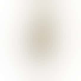 Guava Gaslato x Garlic Cookies Claybourne Rocket (1.6g)