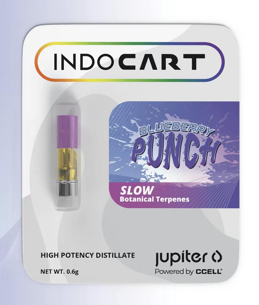 IndoCart | Blueberry Punch | .6G