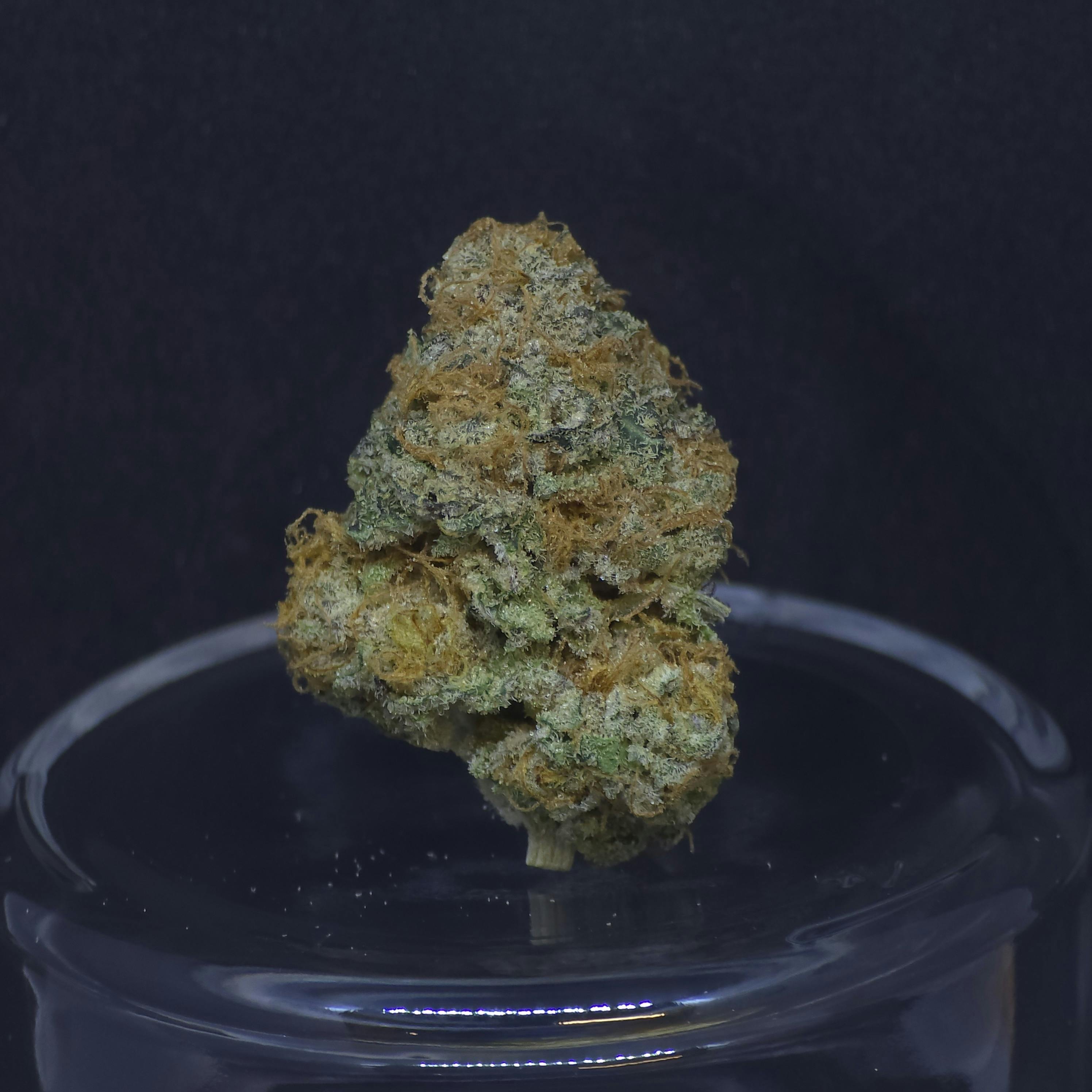 Bubble Gum cAKe 1g Flower