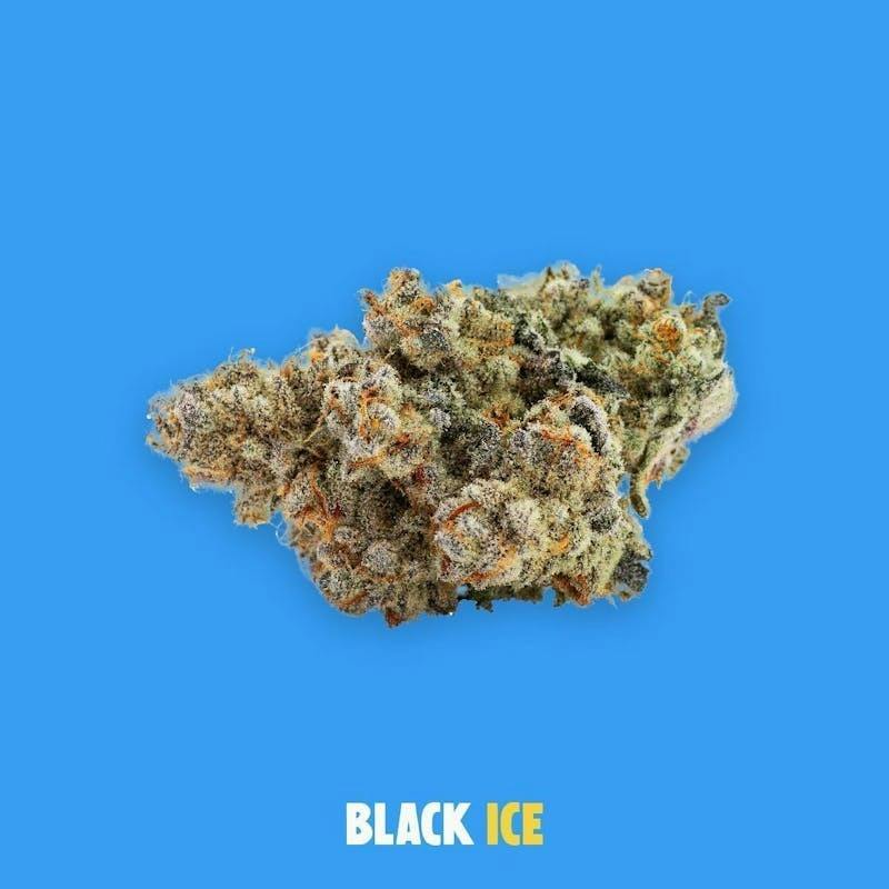 Buoyant Bob - Black Ice 14g by Buoyant Bob