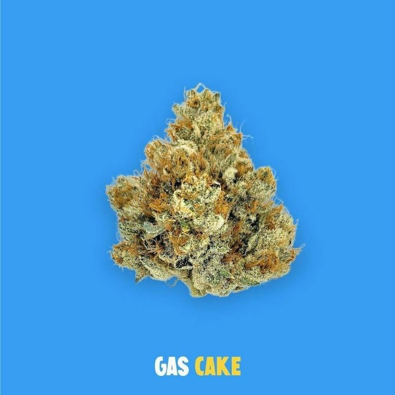 Buoyant Bob - Gas Cake 14g by Buoyant Bob