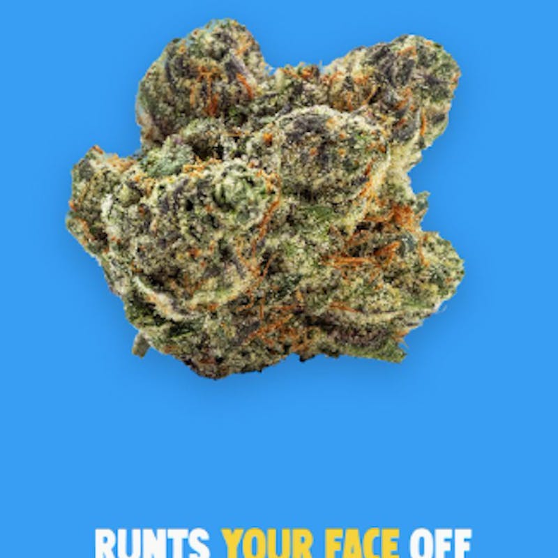 Buoyant Bob - Runtz Your Face Off 3.5g