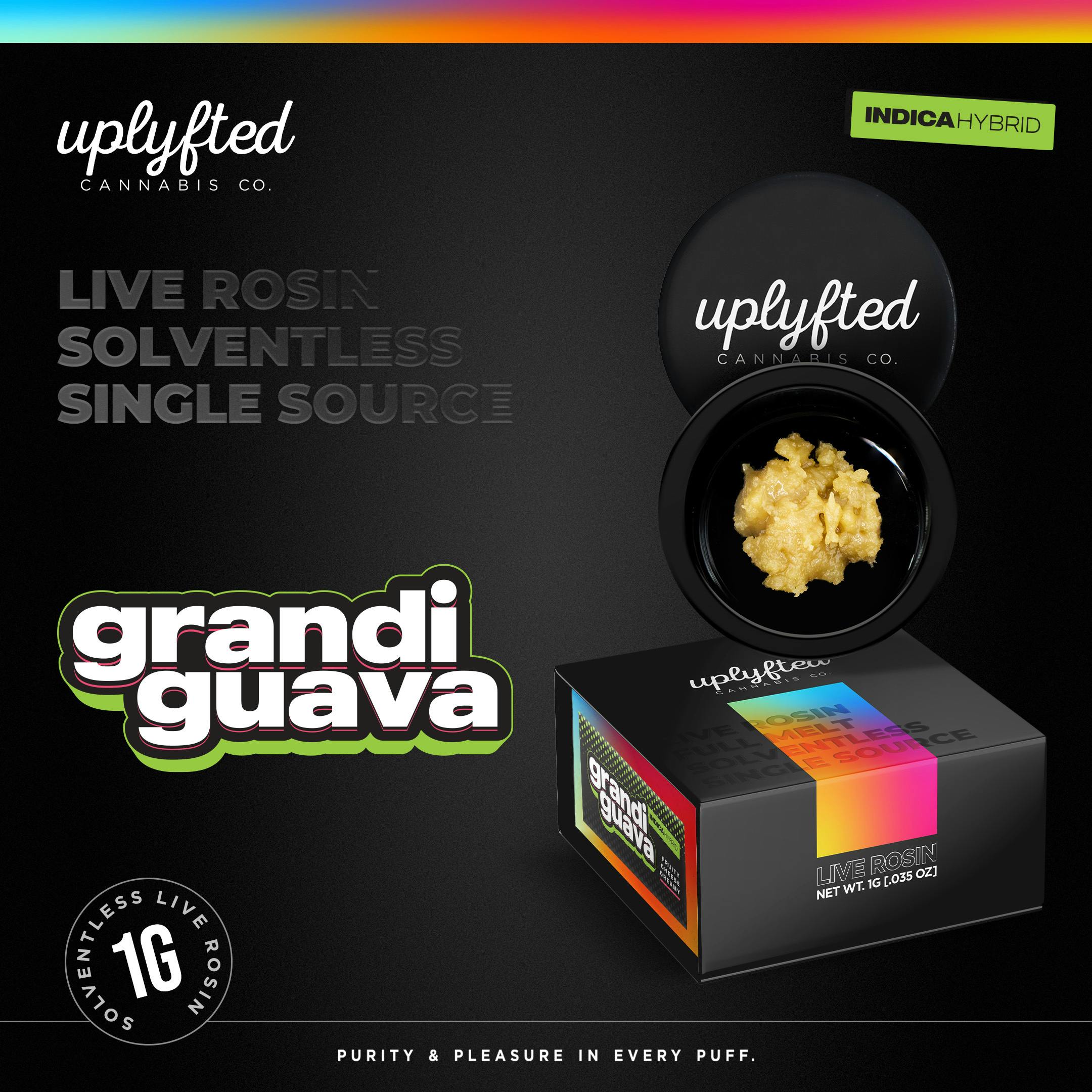 Grandi Guava | Live Rosin | Cold Cure Badder | 1g by Uplyfted Cannabis Co