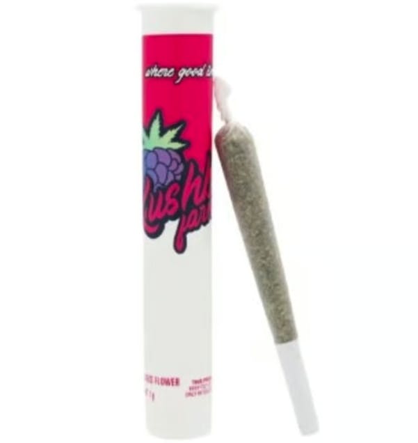 Kushberry Farms | Sticky Buns | PR | 1g