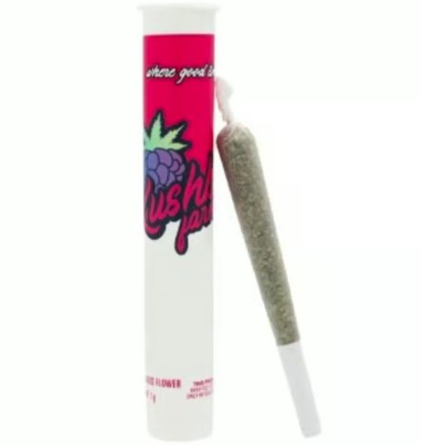 Kushberry Farms | True Mints | PR | 1g