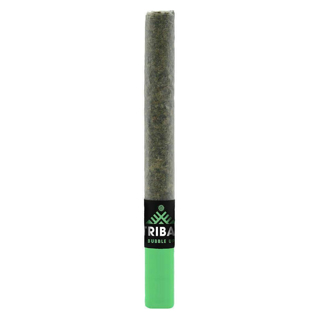 Bubble Up Ceramic Tip Pre-Roll (1x1g)