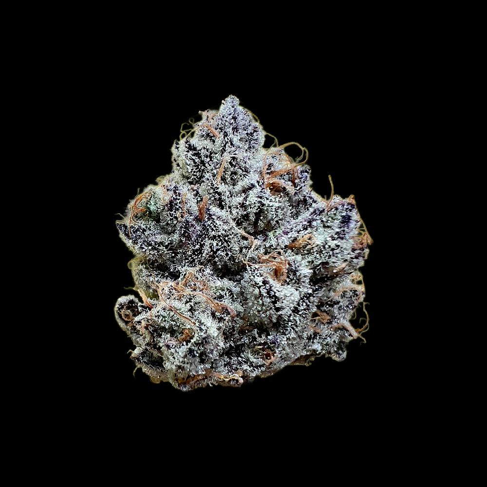 Premium Flower | JOMO#3 by Auraz