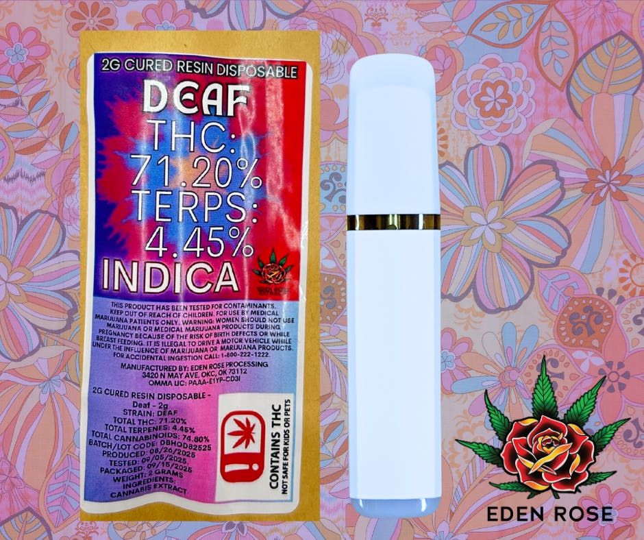 Cured Resin Disposable Deaf Indica