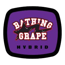 Bathing Grape Flower | 14g by 93 Boyz