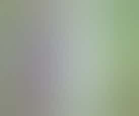 2G Cured Resin Disposable - Lime OG (Sativa)