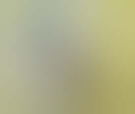 1G Hash Rosin Disposable - Garlic Crusher (Hybrid)