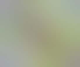 1G Hash Rosin Disposable - Rainbow Guava (Indica)