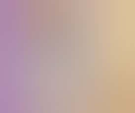 2G Distillate Disposable - Blueberry Afgoo (Hybrid)