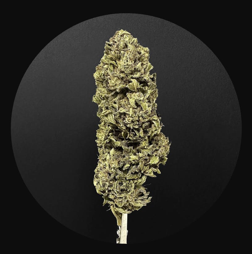 Chicken & Waffles | Flower | 3.5G