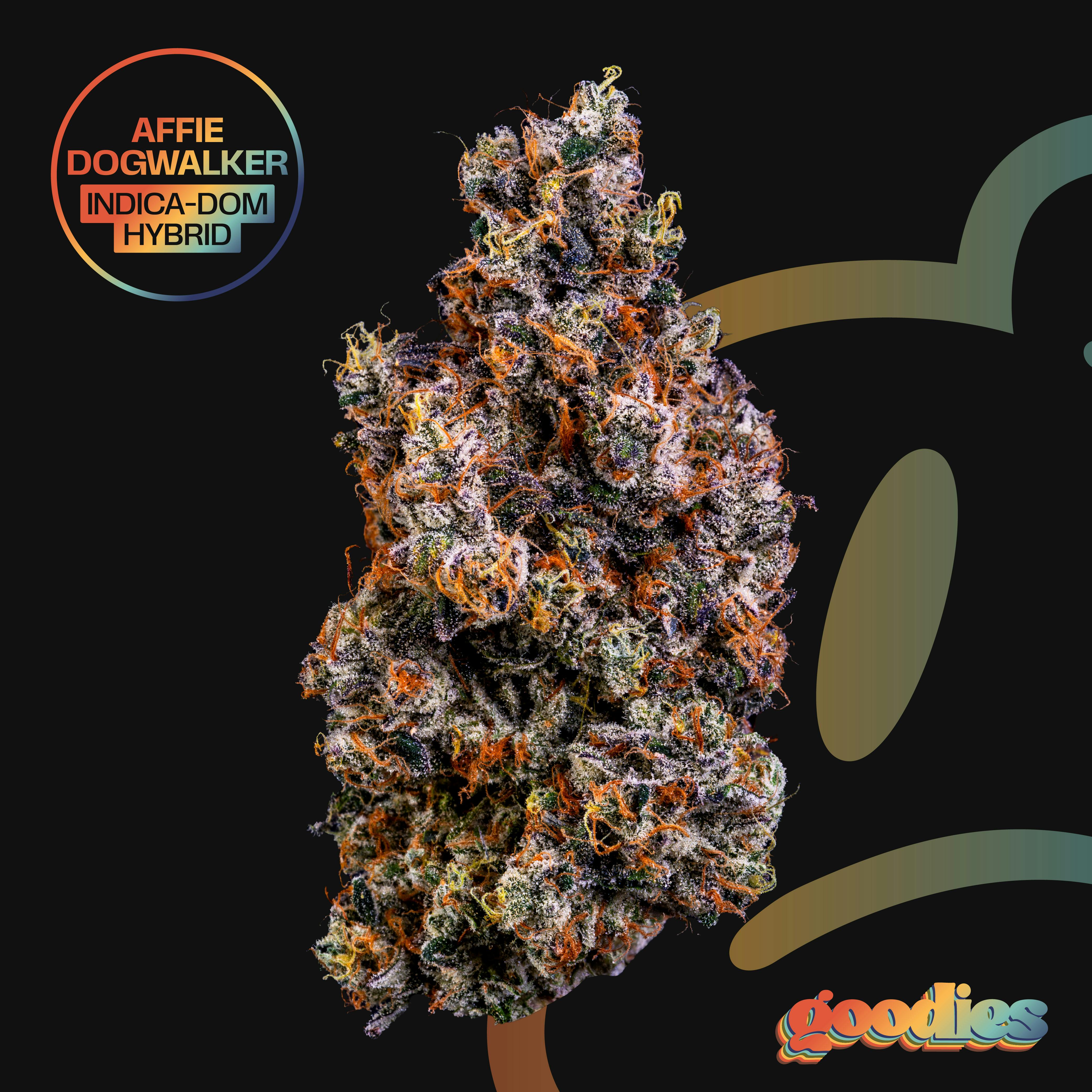 Affie Dogwalker Whole Flower