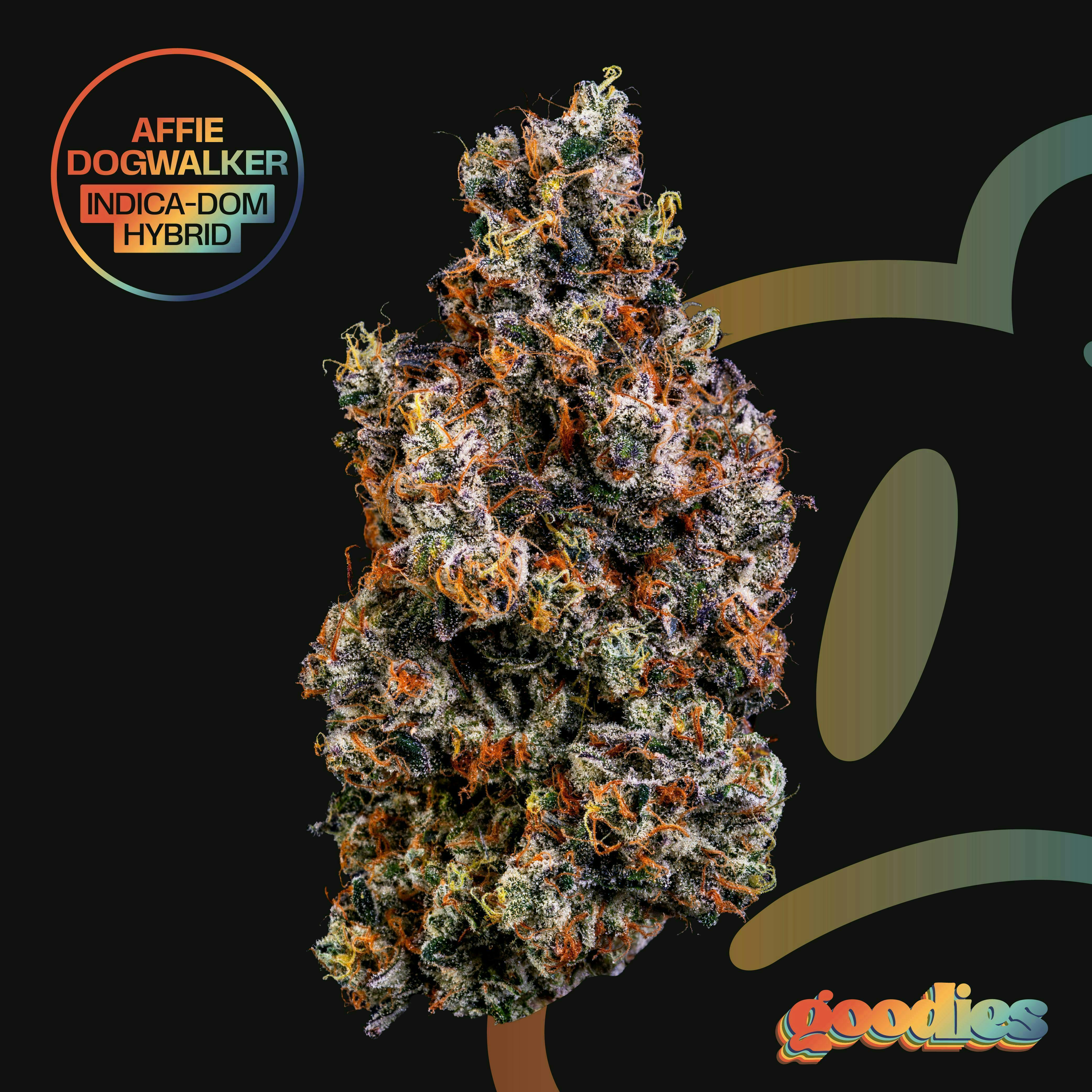 Affie Dogwalker | Big Buds | 7g by Goodies