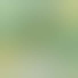 Bruce Banner - 28pk 1g Pre Rolls