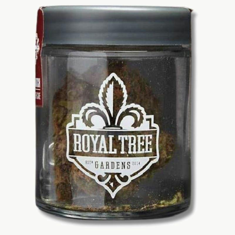 Royal Tree Gardens | 3.5g Flower - Project 4516 by Royal Tree Gardens