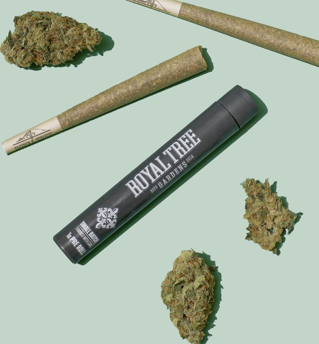 Royal Tree Gardens | 1g Preroll - Key Lime Kush Mints