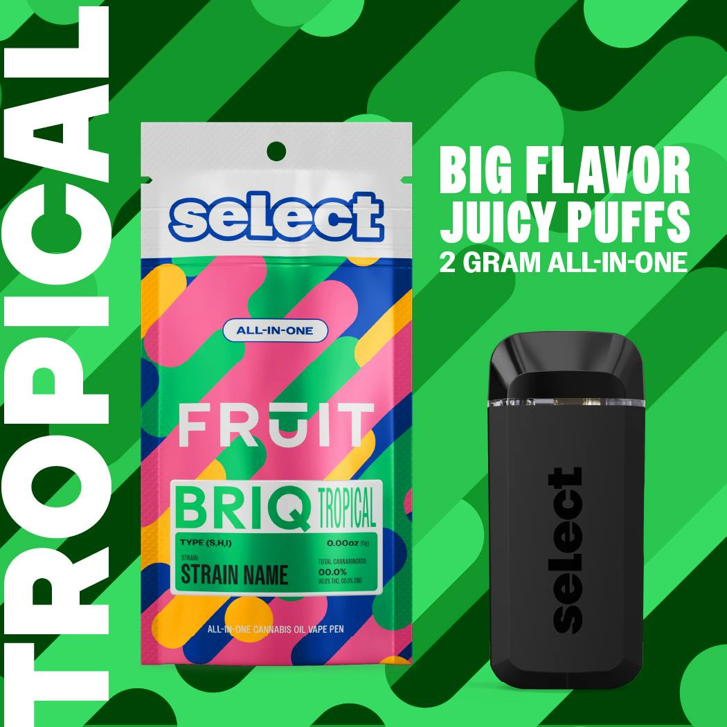 Essentials Mellow Mango Fruit BRIQ 2g by Select