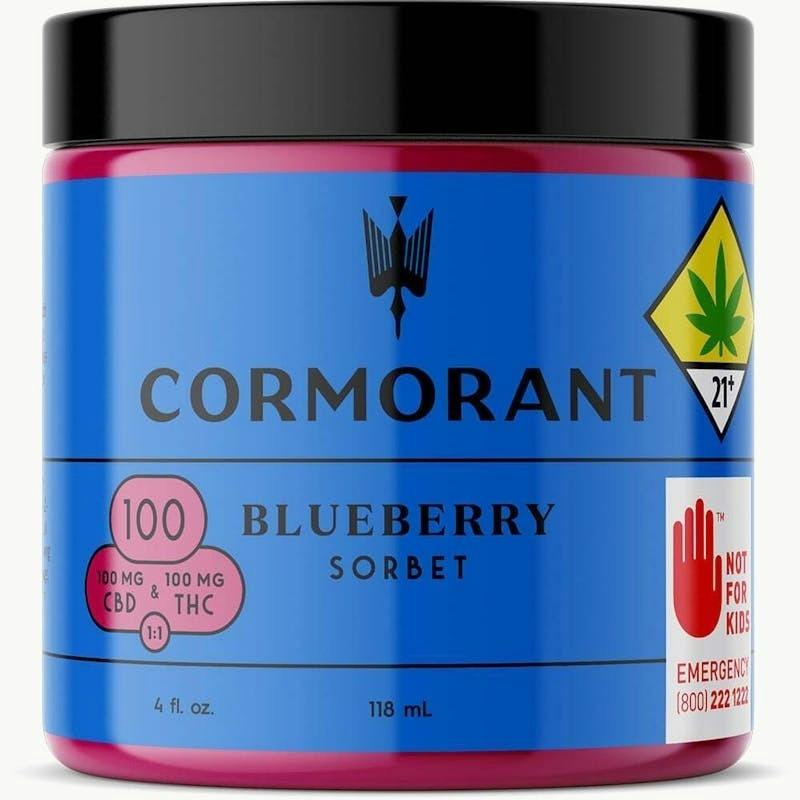 Blueberry Sorbet