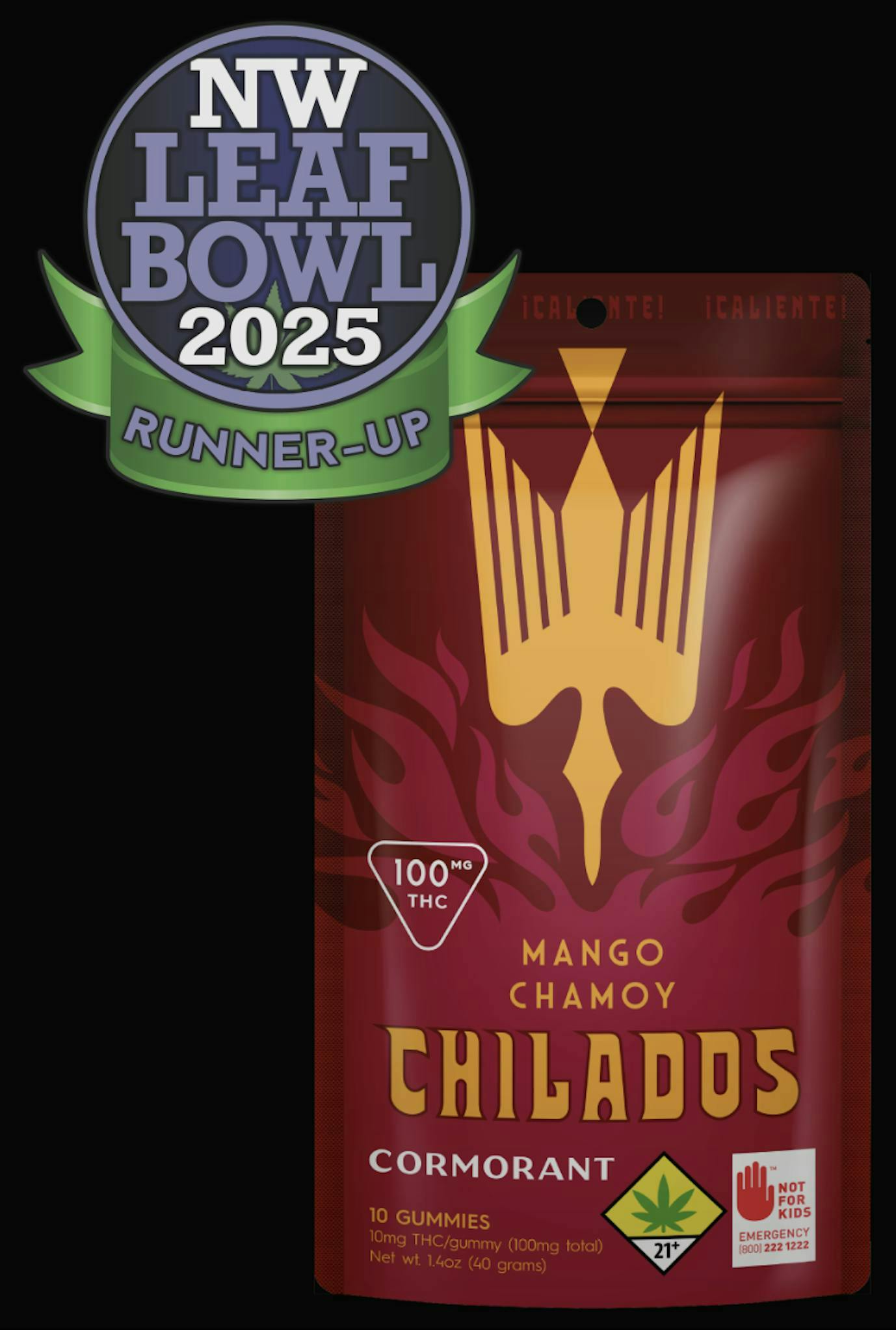 Mango Chamoy Chilados Gummies 10pk,