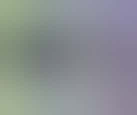 7G Moonrocks - Lemon Jealousy (Sativa)