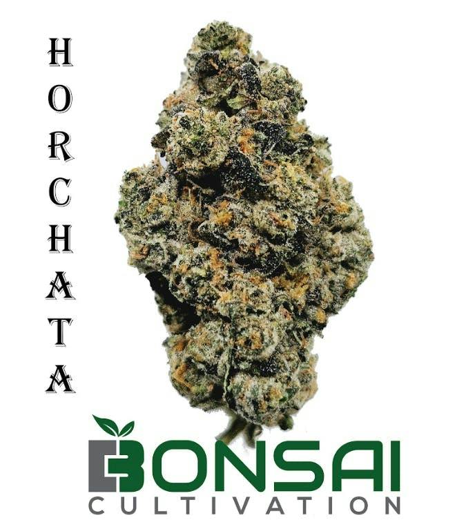 Bonsai Cultivation | Horchata | Flower