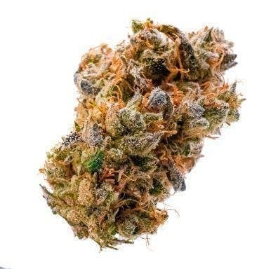 Prūf Pie Scream #8 Flower