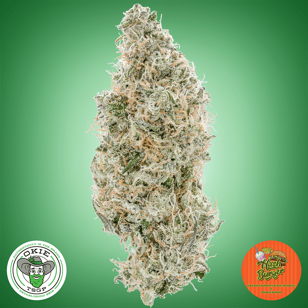 Hash Burger - 3.5g Prepack Flower by Okie TSGP