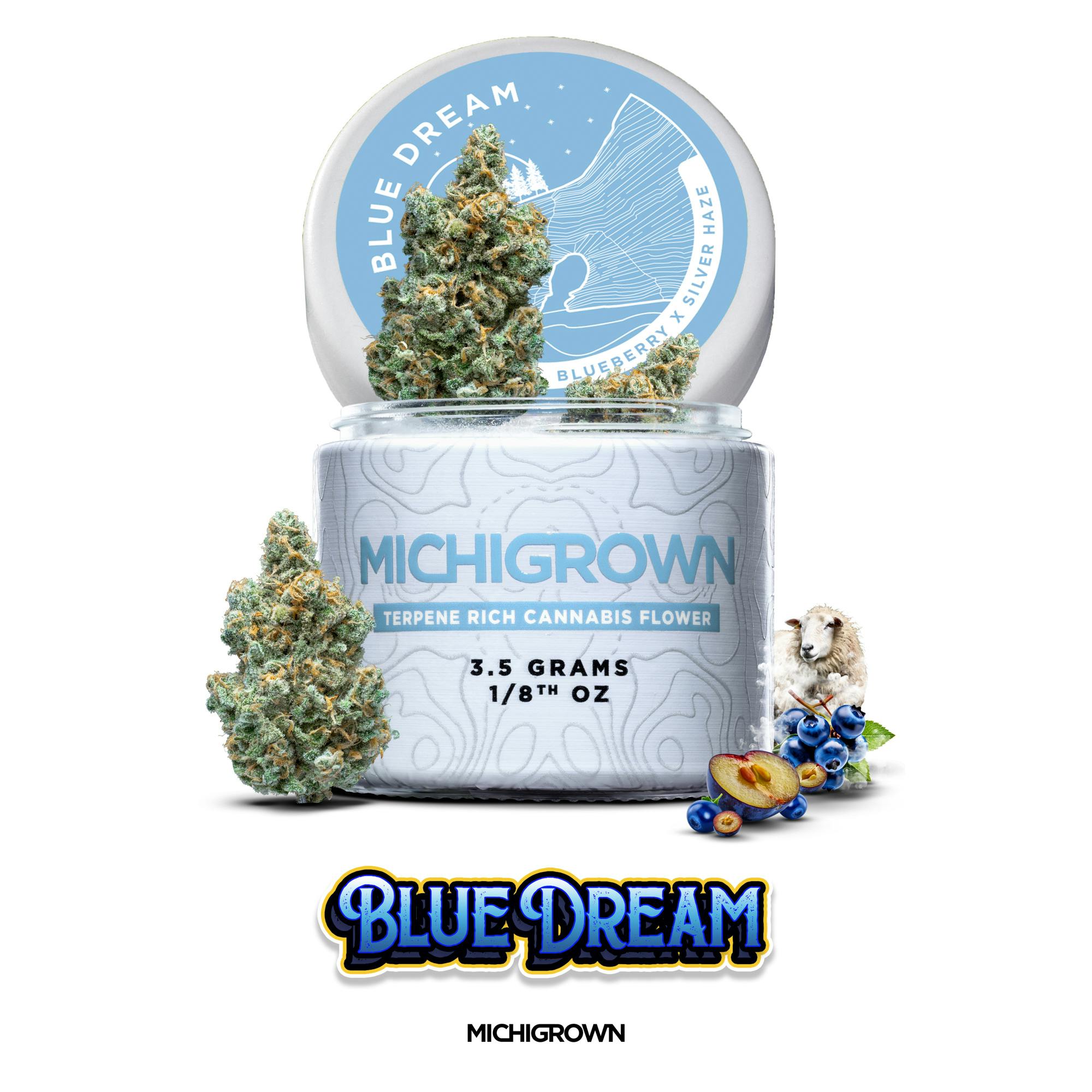 BLUE DREAM - 3.5 GRAMS - PREMIUM FLOWER - JARS by MICHIGROWN