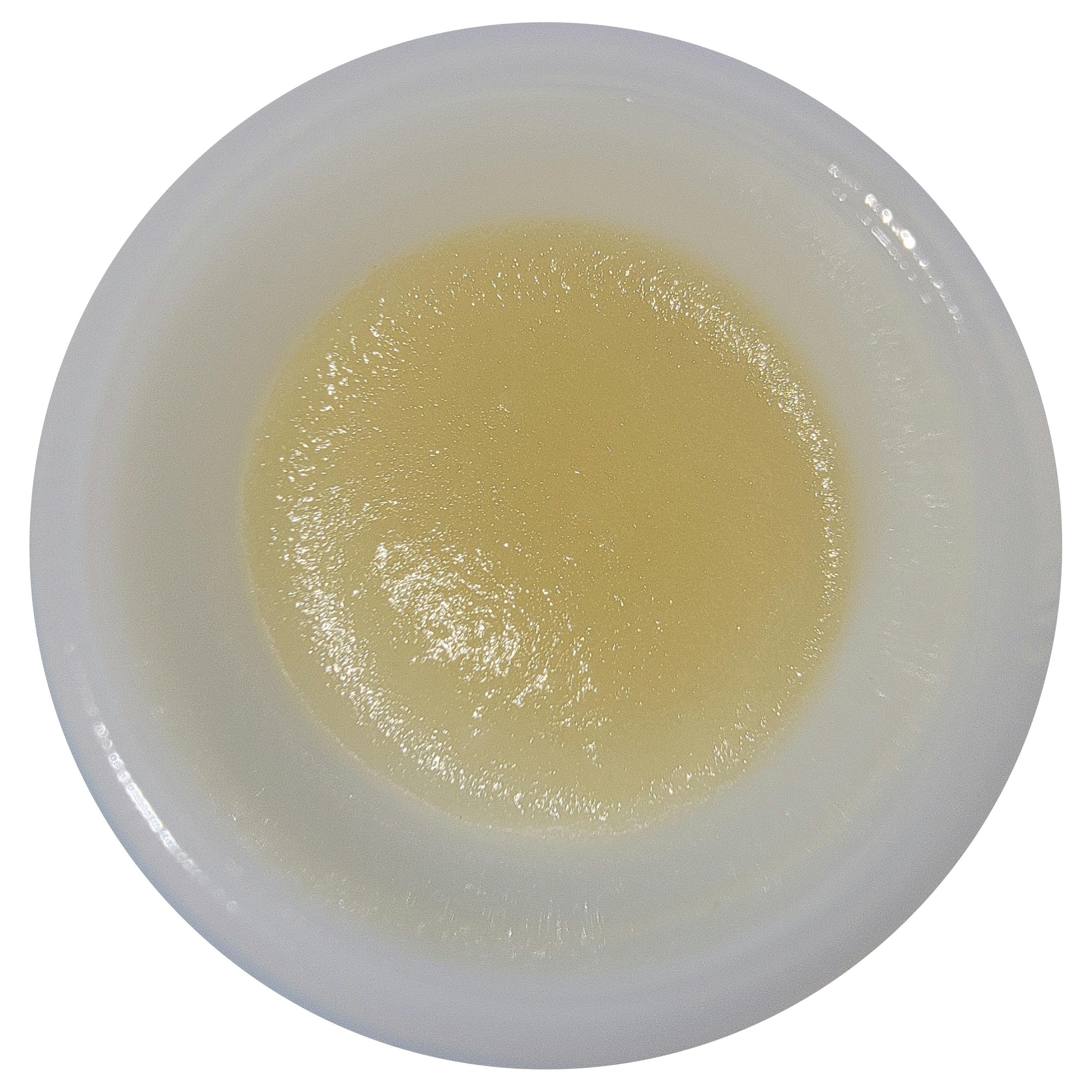 Gorilla Glue #4 Live Sugar