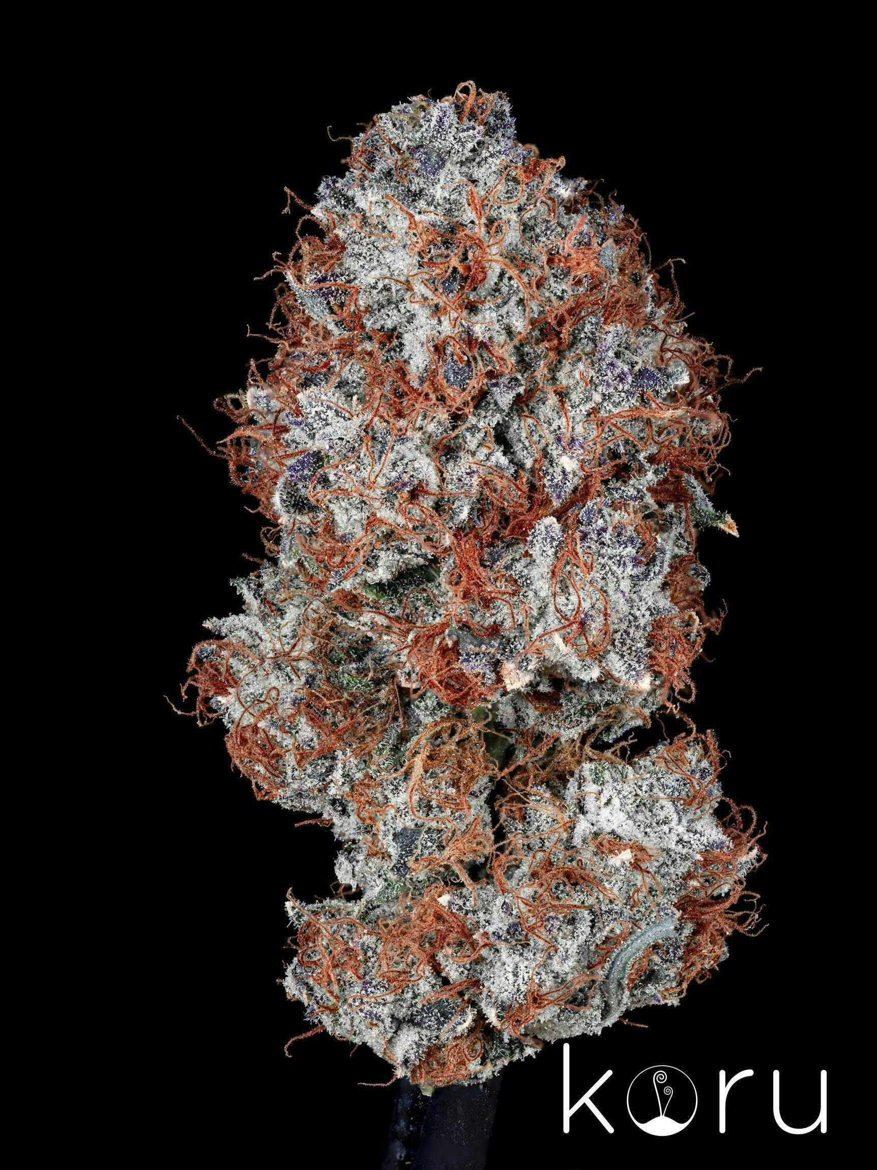 Koru Cannabis: Gary Payton