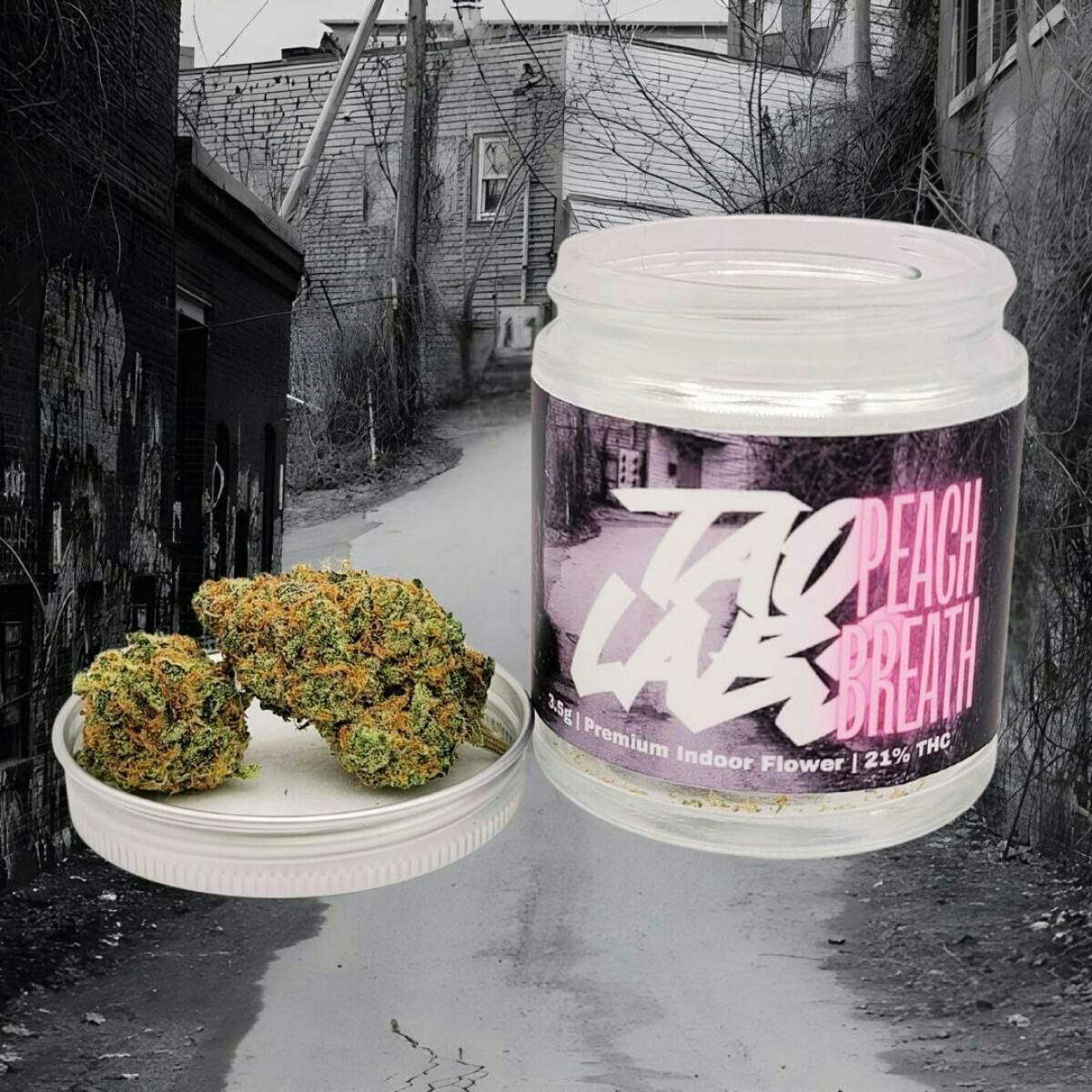 Tao Labs | Peach Breath | Big Buds | 3.5g by Tao Labs
