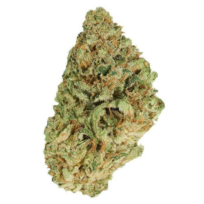 Jean Guy - 28g