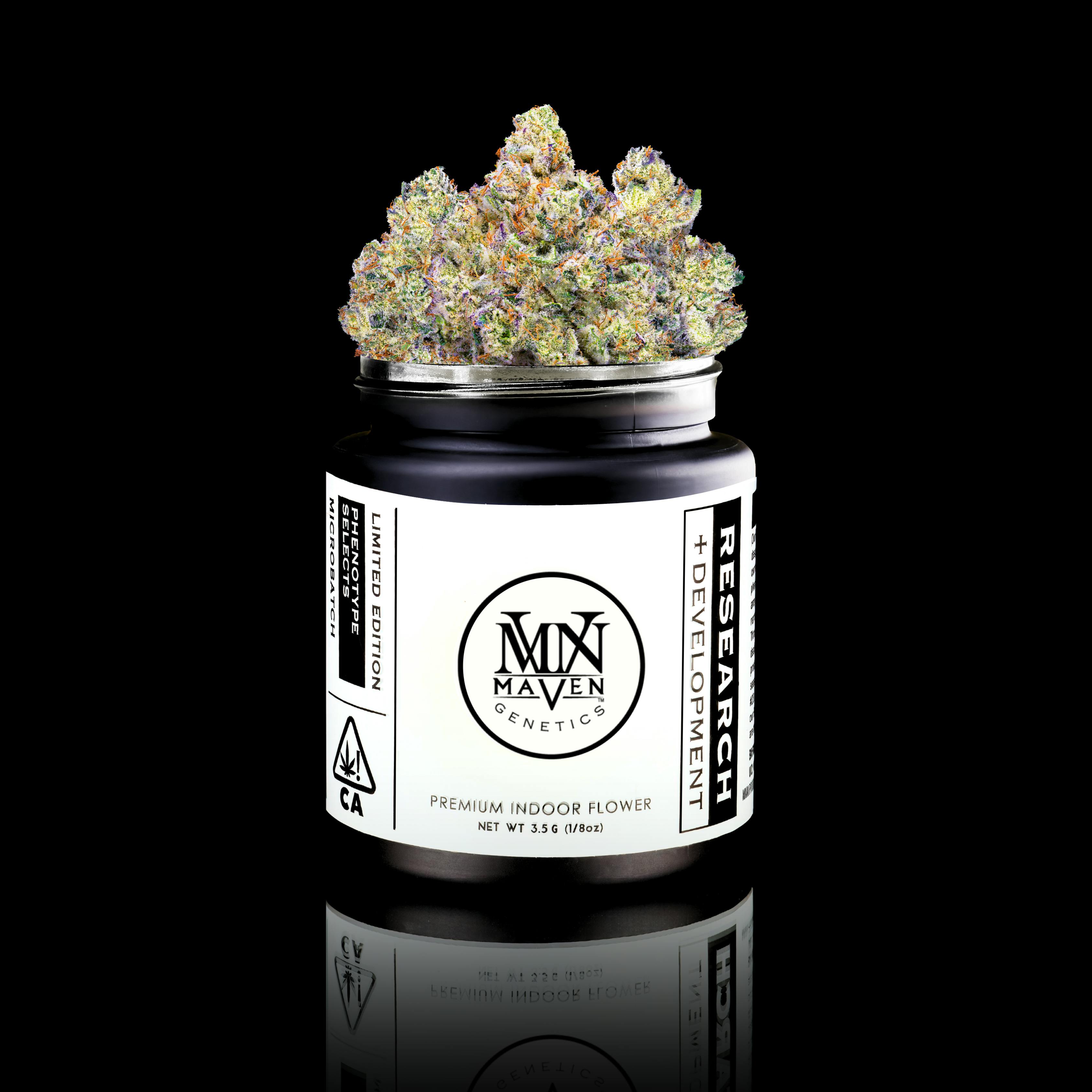 Pineapple Hindu Z x Banana OG) x Eye Can #2 - Maven Genetics