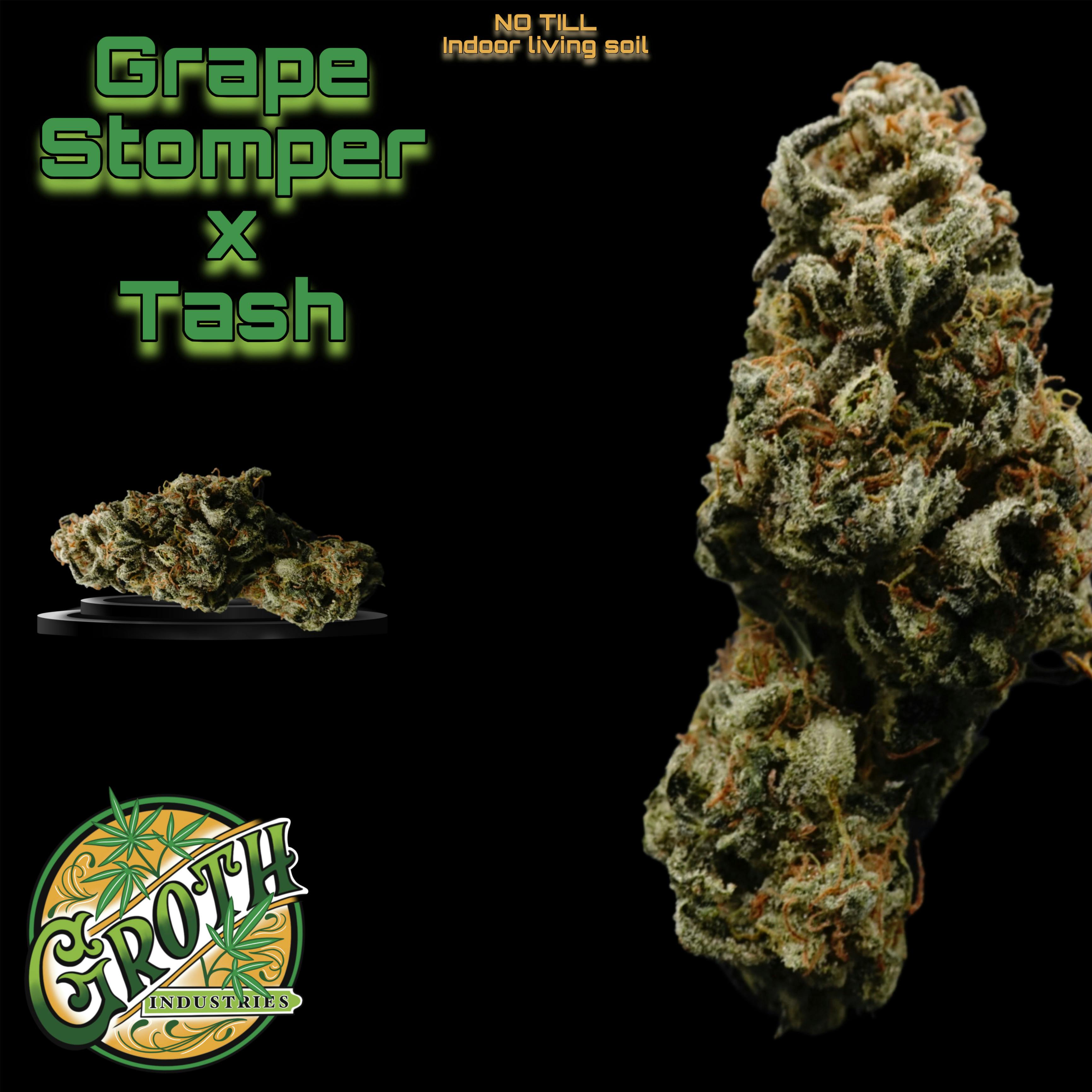 Groth Industries | Grape Stomper | Flower | 3.5G - Groth Industries