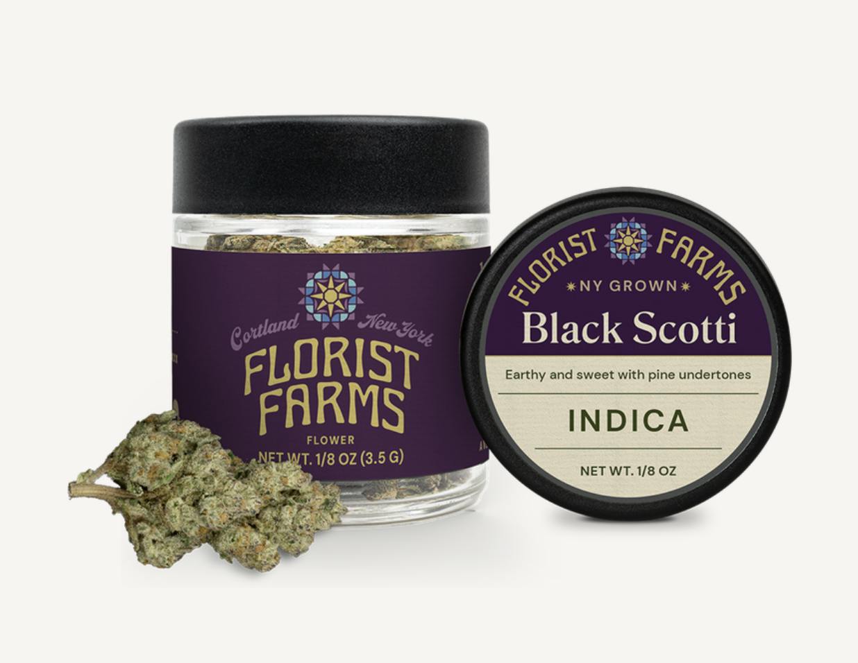 Black Scotti Big Buds